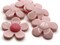 5 36mm Pink and Bright Pink Daisy Plant Plastic Flatback Cabochons
